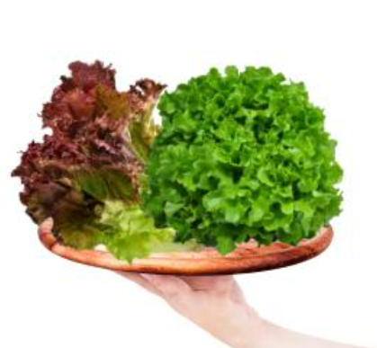Meod Salad Bundle C (Red Crisp & Green Oak) 200g -沙拉生菜