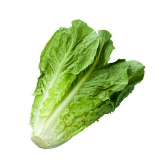 Organic Baby Cos Lettuce - 油麦胆 ( 250 g )