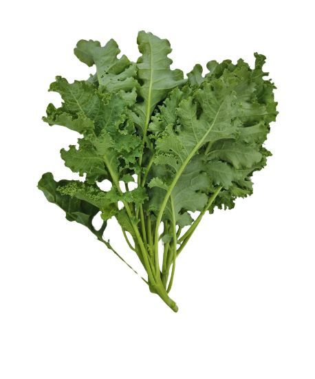 Meod Curly Kale (150 G) - 羽衣甘蓝