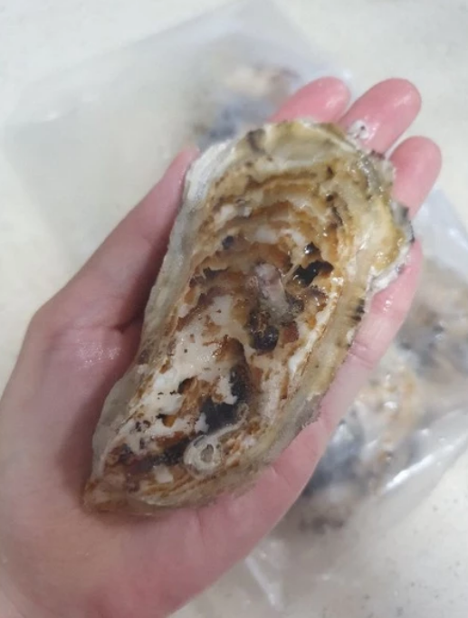 Sashimi - Murutsu Oyster (Large) - 12pcs