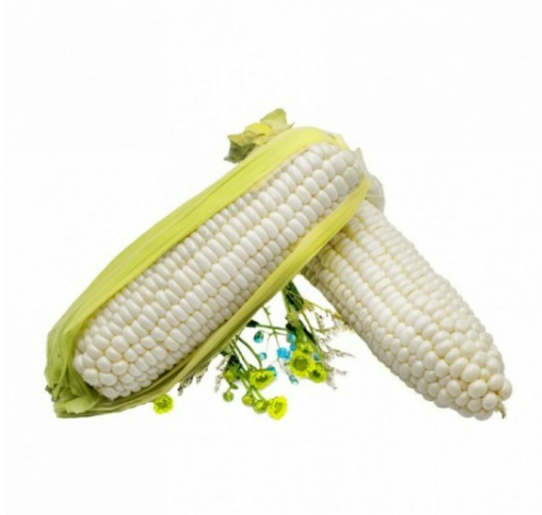 Hokkaido Milk Corn (L)(Sweetness Guaranteed) (3 pcs)