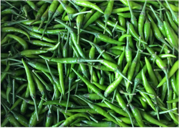 Green Chilli Padi青小辣椒(100g)Fresh & Budget