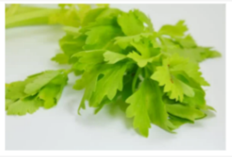 Chinese Celery芹菜 (100g)Fresh & Budget