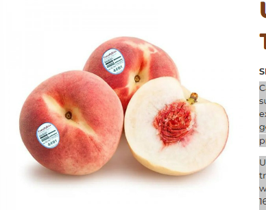 USA White Peach - Family Tree (2 pcs)
