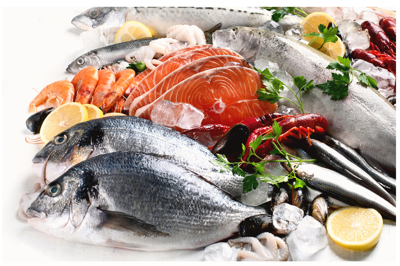 Fish (The Fish Farmer)