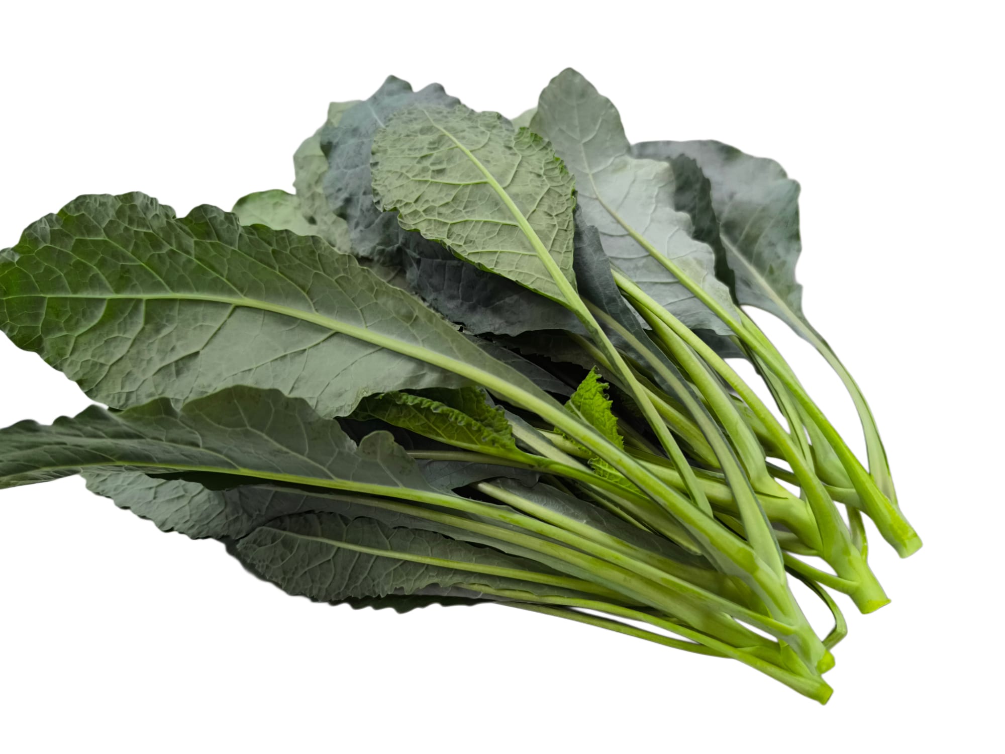 Meod Tuscan kale (150g) - 拉齐纳多羽衣甘蓝 – Meod Fresh