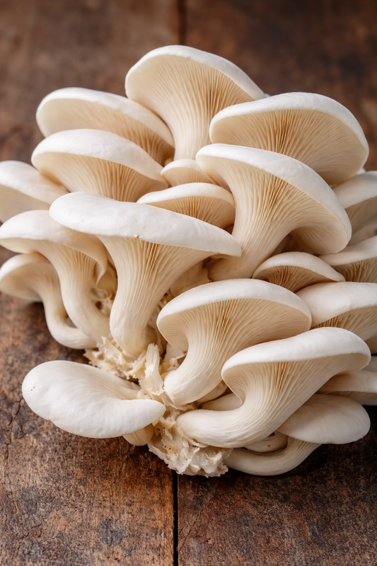 Meod White Oyster Mushrooms(200g) - 平菇