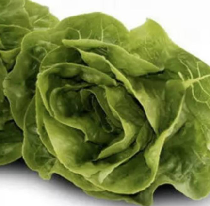 Meod Cos Lettuce (150g)-沙拉生菜