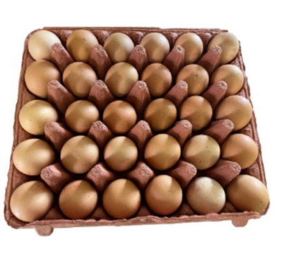 30 Pcs Fresh Eggs -PASAR