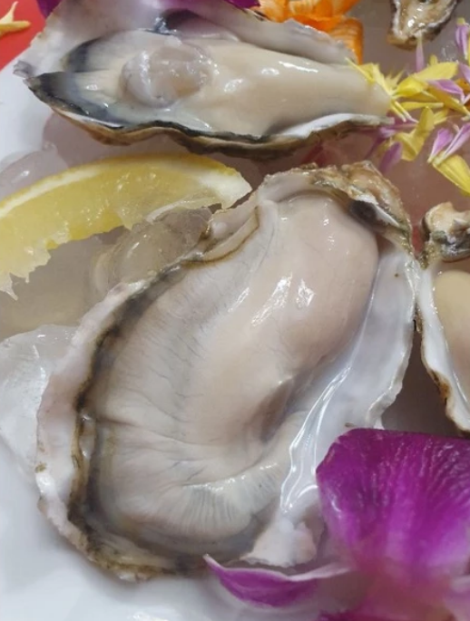 Sashimi - Murutsu Oyster (Large) - 12pcs