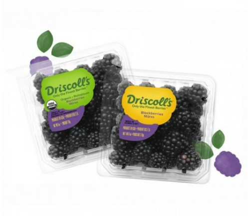 Driscoll's Blackberries Mures (125G) x 2 box