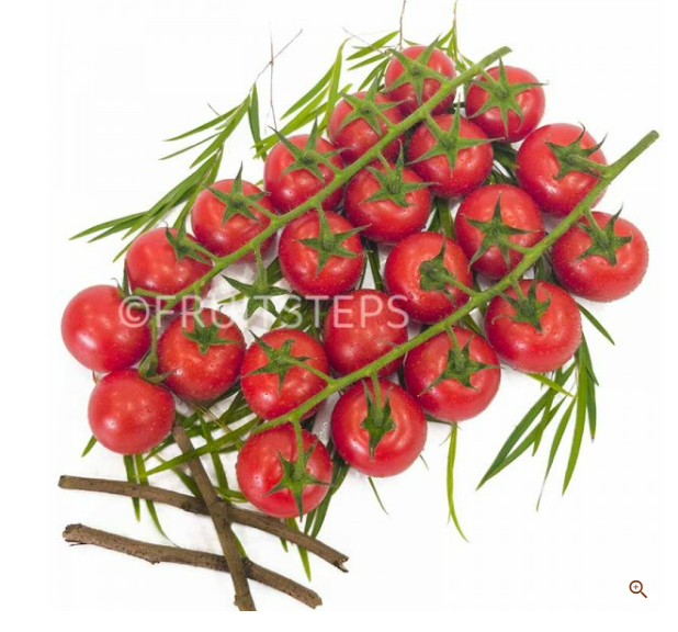 Holland Organic Air-Flown Cherry Tomato ( 500g +-)