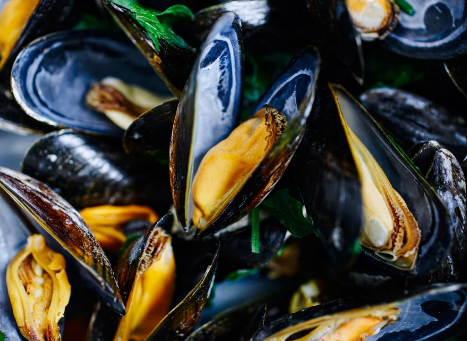 Australian Yumbah Blue Mussels (1kg)