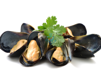 Whole Shell Black Mussel (454g)