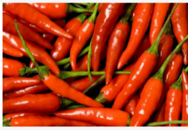 Red Chilli Padi	红小辣椒(100g)Fresh & Budget