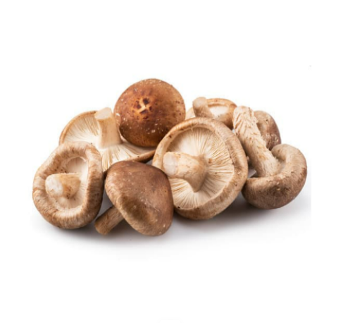 Shitake Mushroom香菇(200g)Fresh & Budget