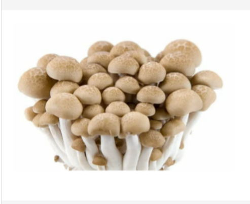 Buna Shimeji Mushroom	灵兰菇(150g)Fresh & Budget