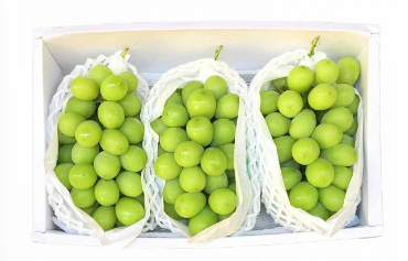 Sunshine Jumbo Rose Muscat (Grade AAA) (700g)